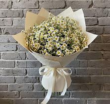 Букет цветов из:  Ромашки #REPLACE_PRED# Нязепетровске