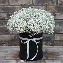 Цветочная композиция из Гипсофила в шляпной коробке #REPLACE_PRED# Нязепетровске